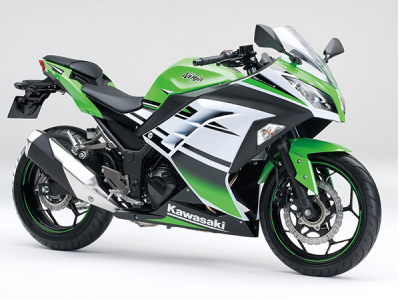 Ninja250 ABS Special Edition 2015年モデル グリーン